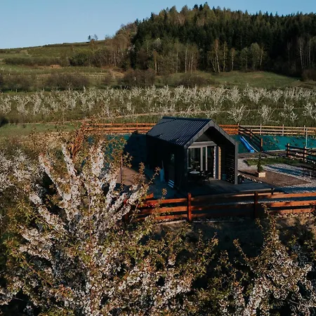 Holiday home Pod Skrzydlami Aniola *